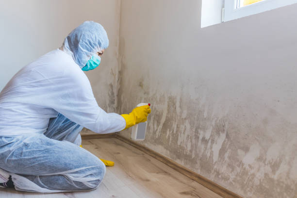 Licensed Commercial Mold Remediation service in Allentown, NJ - Mold Remediation HQ
