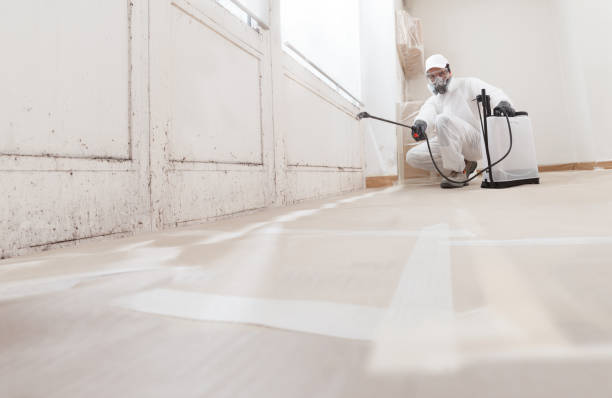 24/7 Emergency Commercial Mold Remediation experts in Allentown, NJ