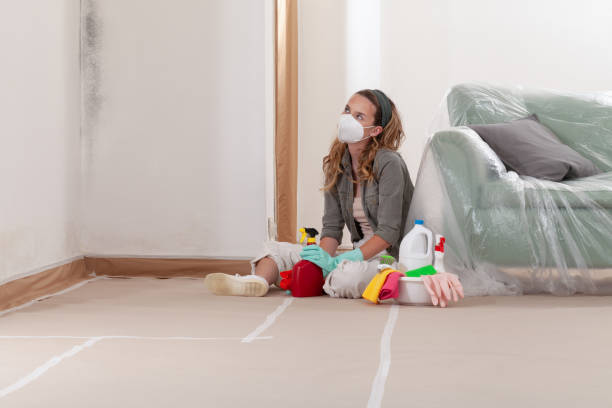 Reliable Commercial Mold Remediation contractor in Allentown, NJ by Mold Remediation HQ