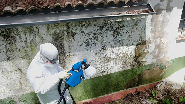 Top rated local Commercial Mold Remediation specialists in Allentown, NJ